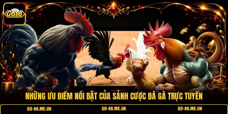 Những ưu điểm nổi bật của sảnh cược đá gà trực tuyến Những ưu điểm nổi bật của sảnh cược đá gà trực tuyến